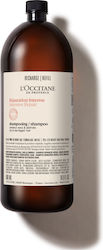 L'Occitane Intensive Refill Shampoo Reconstruction/Nourishment & Color Retention for Damaged Hair 500ml L'Occitane Intensive Refill Shampoo Reconstruction/Nourishment & Color Retention for Damaged Hair 500ml