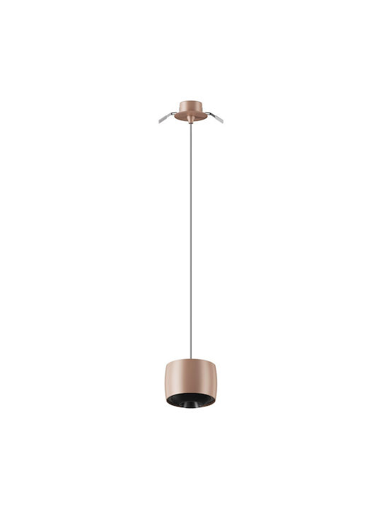 Ceiling Light Rose Gold LED with Warm White Light