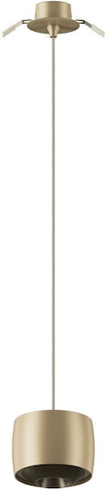 Pendant Ceiling Light Gold LED with Warm White Light