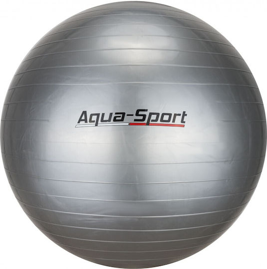 Aqua-Sport Pilates Übungsball in Grau Farbe