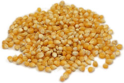 Maize Popcorn Fein 1kg Maize Popcorn Fein 1kg