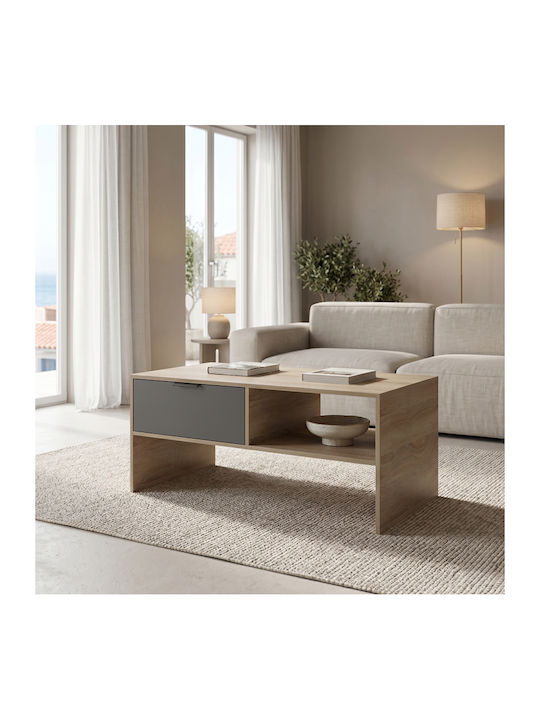 Rectangular Central Coffee Table Felina Wooden Anthracite L100xW50xH45cm