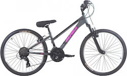 Alpina 26" Γκρι Mountain Bike με Ταχύτητες