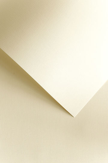 Argo Χαρτί Εκτύπωσης A4 120gr/m² 50x50 φύλλα Μπεζ