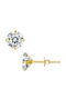 Trusky Silver Gold Plated Earrings with Stones