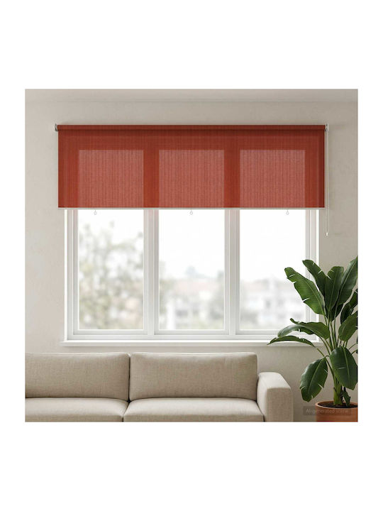 vidaXL Rollos Mögliche Blackout Orange P240xH14...