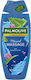 Palmolive Thermal Spa Bubble Bath Gel With Aloe Vera & Powder Scent 500ml