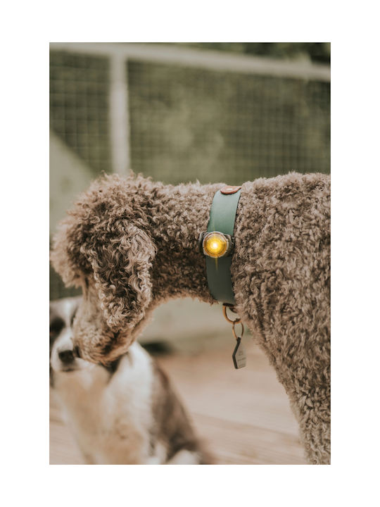 Φωτάκι Orbiloc Dog Dual Yellow Φωτάκι Orbiloc Dog Dual Yellow