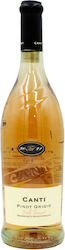 Canti Wein Pinot Grigio Rosé Trocken 750ml