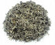 Agrest Sage 200gr