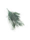 Stabilized Fern Tree-like