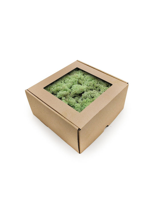 Reindeer Moss Norway Mint Green 500g Net