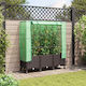 vidaXL 3423066 Greenhouse Cover