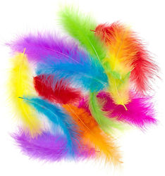 Feathers Turkey Feathers Colored 10-15cm 30pcs