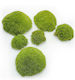 Moss Cushion Light Green Natural 0.1m² 40x25cm France