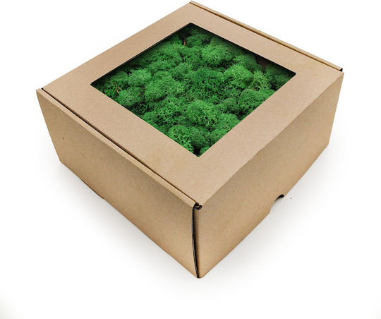 Reindeer Moss Lichen Norway Shade Grass 250g Net