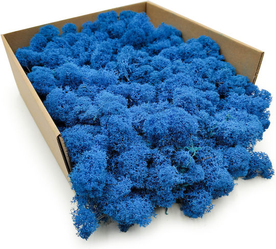 Reindeer Moss Finnish Cleaned Blue 500g Net