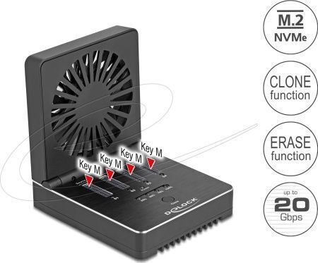 DeLock Docking Station για Σκληρούς Δίσκους PCIe (64352)