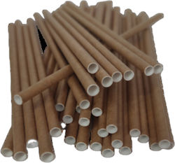Paper Straws Kraft Color Pack 100 Pcs Horeca Polska