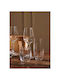 SteweHome Set of Glasses for White and Red Wine Made of Crystal 18 Pieces