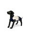 Sweater Dog Beige-navy Size 2xl 55