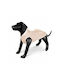 Sweatshirt Beiges Teddy Bear Hundeshirts Größe L 45