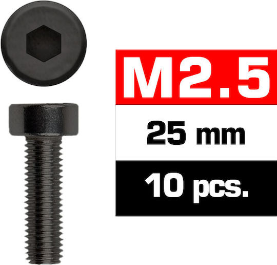 Ultimate Racing M2.5x25mm Schrauben mit Kopf 10 Stück