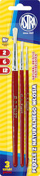 Astra Brushes 2 6 12 Natural Bristle As315111001