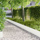 vidaXL Metallic Garden Hedge in White Colour 1....
