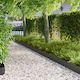 vidaXL Metal Garden Hedge In Black Colour 20cm ...