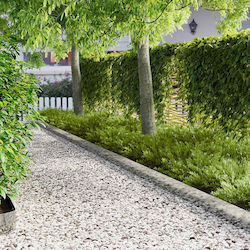 vidaXL Metal Garden Hedge in Silver Color 15cm ...