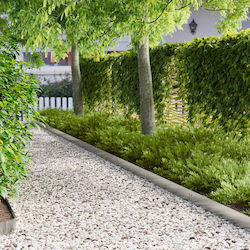 vidaXL Metal Garden Hedge in Silver Colour 1m x...
