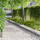 vidaXL Metallic Garden Hedge in Silver Colour 1...