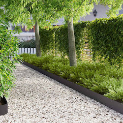 vidaXL Metal Garden Hedge in Black Color 15cm x...
