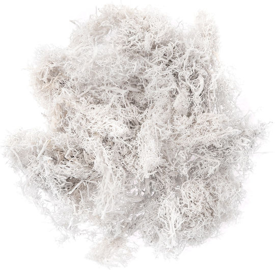 Decorative Reindeer Moss Natural White 30g
