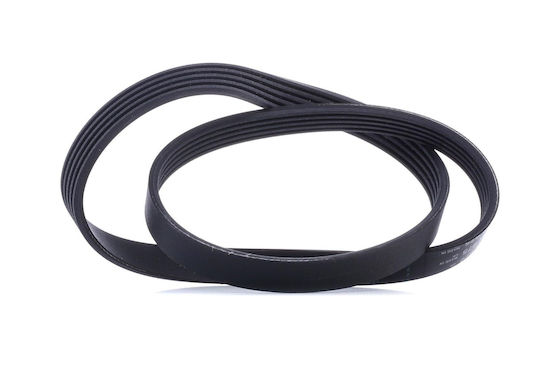 Contitech 5 Pk 975 Multi-rib Belt