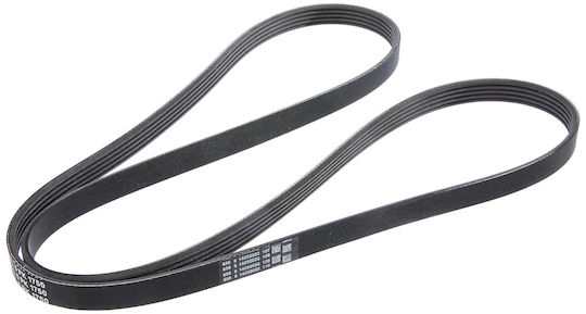 Contitech 5 Pk 1750 Multi-rib Belt