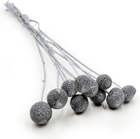 Getrocknete Craspedia Craspedia Silber 10 Stücke