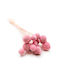Getrockneter Craspedia Craspedia Extra Rosa Blumenstrauß 15 Stück
