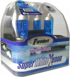 H4 Bulbs 60/55w Farenheit Super White 5000k