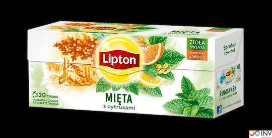 Lipton Flavored Herbal Tea Mint Citrus 20x1.3g