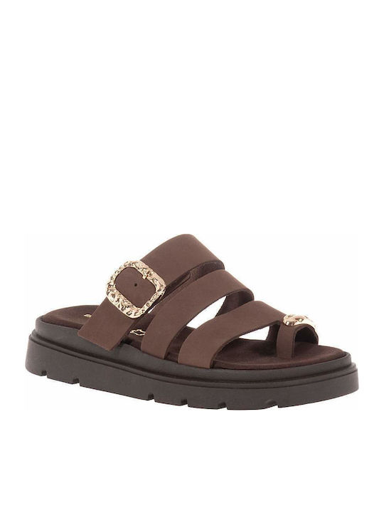 Beatris Brown Sandals