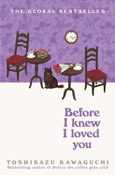 Before I Knew I Loved You - Pan Macmillan - Pap...