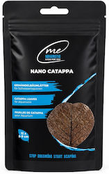 Βελτιωση Εμπλουτισμος Νερου Me Catappa 5-9 Cm 12 Pcs