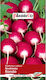 Rondo Radish Plantico