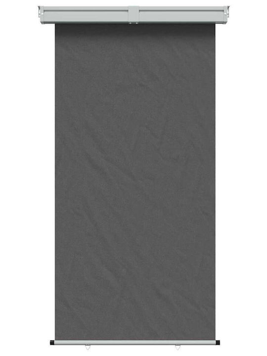 vidaXL Seitliche Markise Terrasse Grau 1.17x2.5m