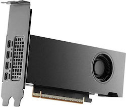 NVidia RTX Pro 2000 Blackwell 16GB GDDR7 Видео Карта 900-5G195-2250-000 NVidia RTX Pro 2000 Blackwell 16GB GDDR7 Видео Карта 900-5G195-2250-000