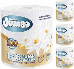 Jumbo Χαρτί Κουζίνας Ρολό 2 Φύλλων 4 Συσκευασίες Jumbo Χαρτί Κουζίνας Ρολό 2 Φύλλων 4 Συσκευασίες
