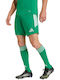 Sports Men's Bermuda Green