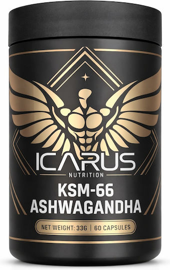 Icarus Nutrition KSM-66 Ashwagandha 60 κάψουλες